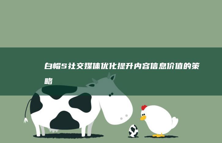 白帽S社交媒体优化：提升内容信息价值的策略 (白帽姐视频)